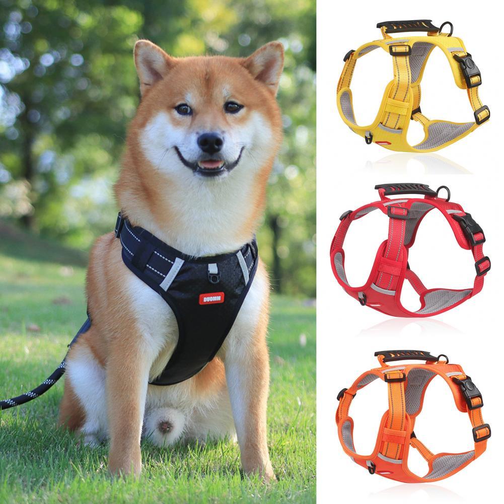 Pet Harness Vest