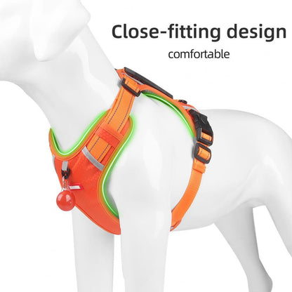 Pet Harness Vest